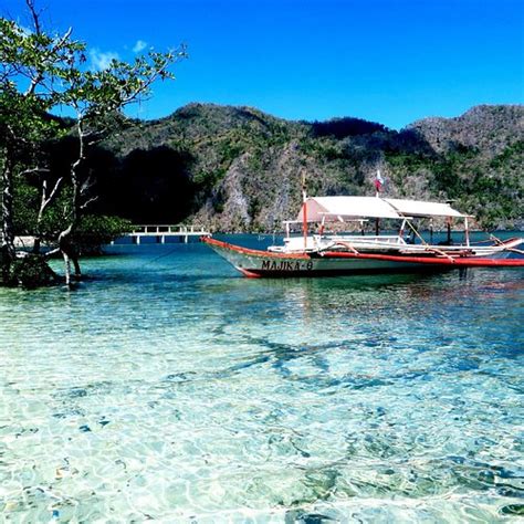 apo island hotels|THE BEST Hotels in Apo Island 2024 .